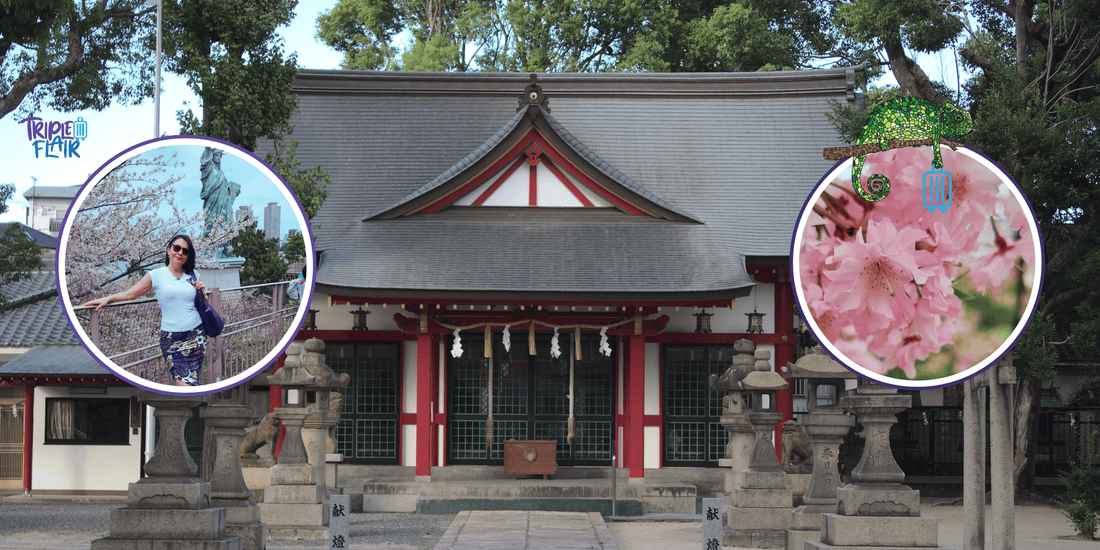 Japan Cherry Blossom Guide: A Woman's Guide to the Perfect Hanami Experience